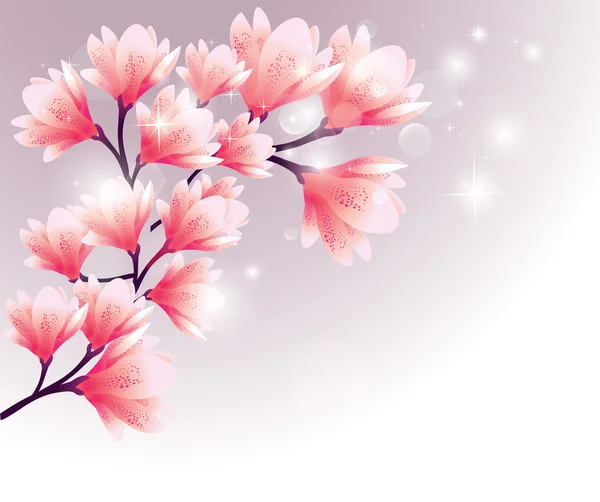 Kwiaty magnolii — Wektor stockowy