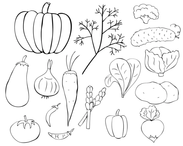 stock vector Set of graphic vegetables