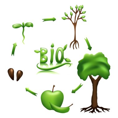 Apple life cycle and bio sign clipart