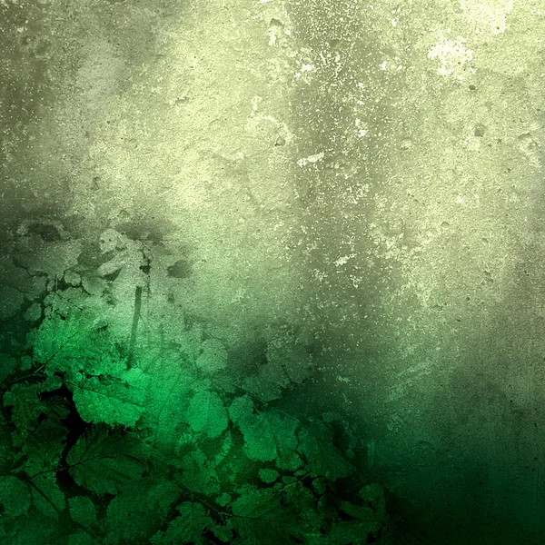 Groene muur had geteeld in de grond — Stockfoto