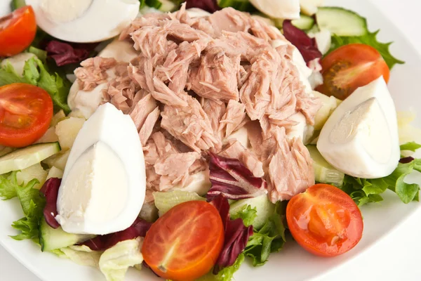 Salade met tonijn — Stockfoto