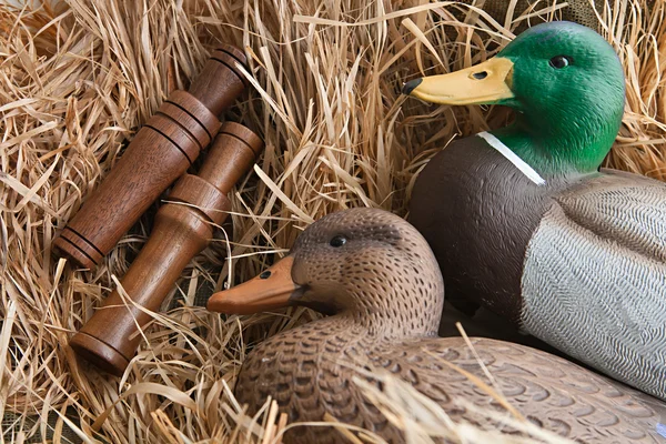 stock image Duck decoy with stuffed and calls