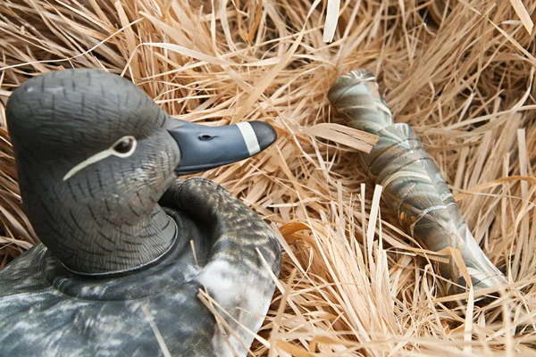 Утка приманка с чучелом и звонки — стоковое фото