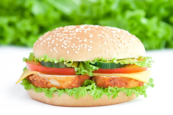 Hambúrguer com chiken — Fotografia de Stock