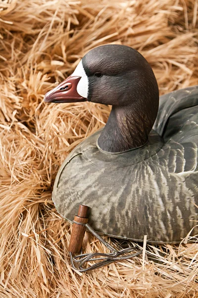 Goose lokkedue med fyldt og opkald - Stock-foto