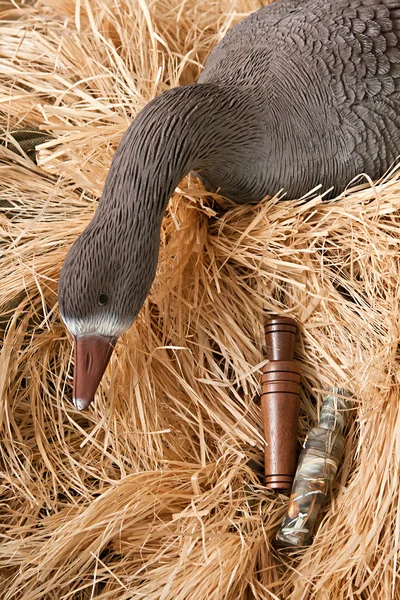 Goose lokkedue med fyldt og opkald - Stock-foto