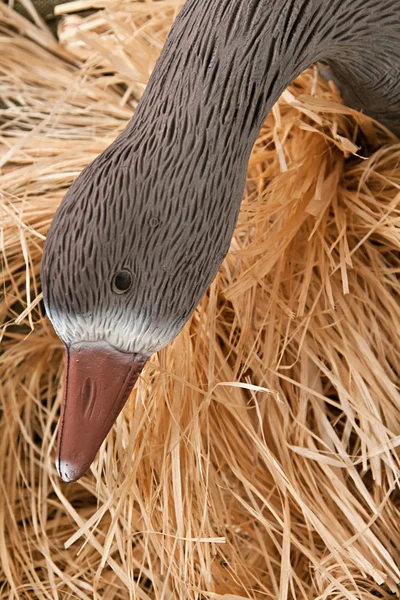 Goose decoy with stuffed and calls — Stockfoto