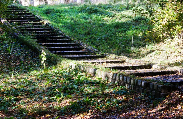 Eski kırık merdiven — Stok fotoğraf
