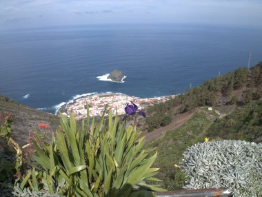 Tenerife, Teide clipart