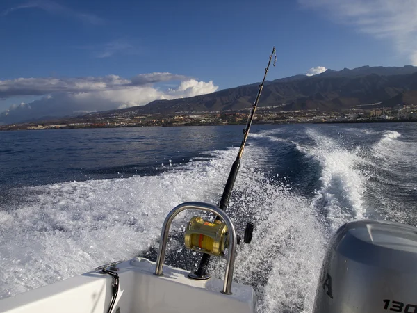 Tenerife, balıkçılık