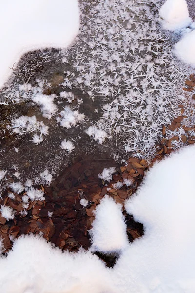Ледяные снежинки — стоковое фото