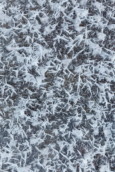 Copos de nieve helados — Foto de Stock