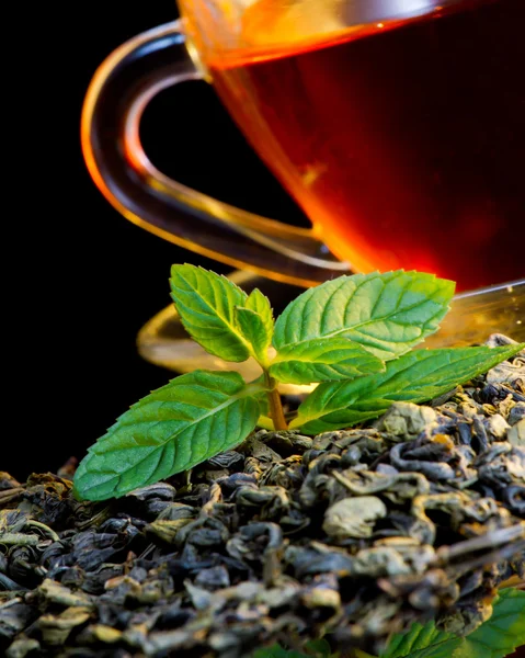 Tea és menta — Stock Fotó