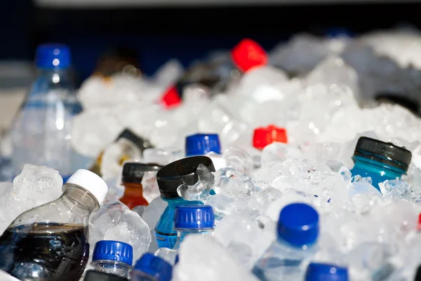 Bottiglie e ghiaccio — Foto Stock