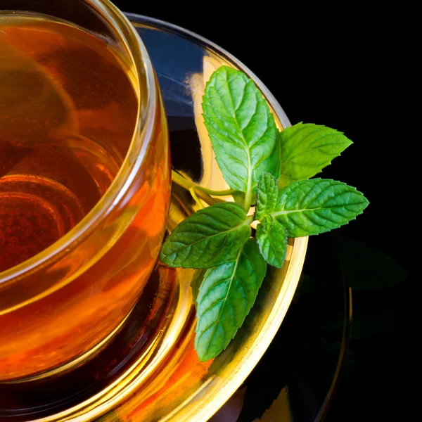 Chá e hortelã — Fotografia de Stock