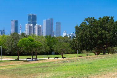 Park and skyscrapers clipart