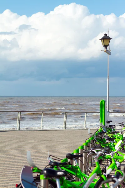 stock image Bicycle rent