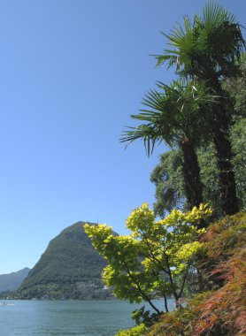 tropikal Bahçe Lugano. İsviçre.