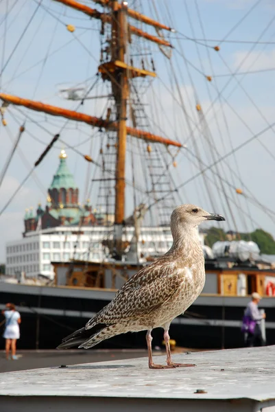 In the port of Helsinki, Finland. — Stock Photo, Image
