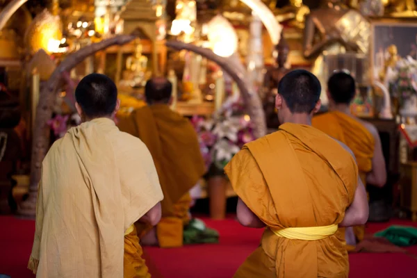 CHIANG MAI, TAILANDIA - 4 DE FEBRERO: Monjes budistas orando en víspera —  Fotos de Stock
