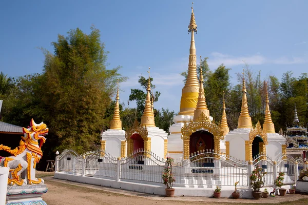 Wat Pa Kham — Foto Stock