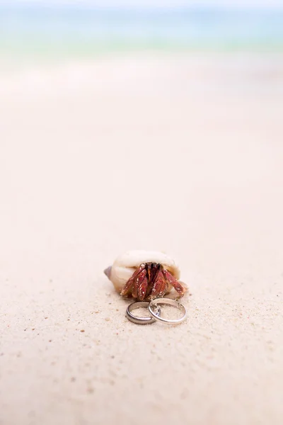 Tropisch strand bruiloft — Stockfoto