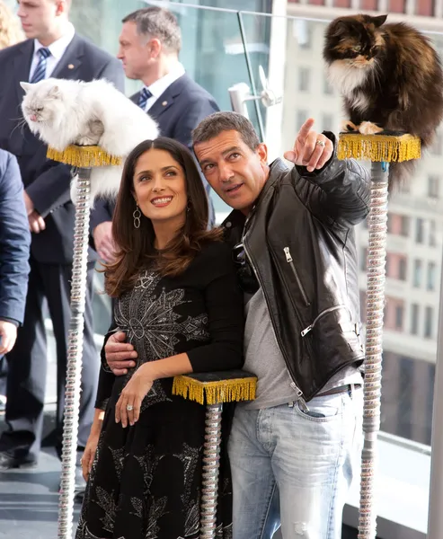 Antonio Banderas and Salma Hayek arriving at the "Puss In Boots" Premiere at the Ritz Hotel Moscow on July 16, 2011 in Moscow, Russia — Stock Photo, Image