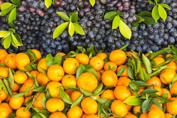 Laranja fresca e frutos de uva — Fotografia de Stock