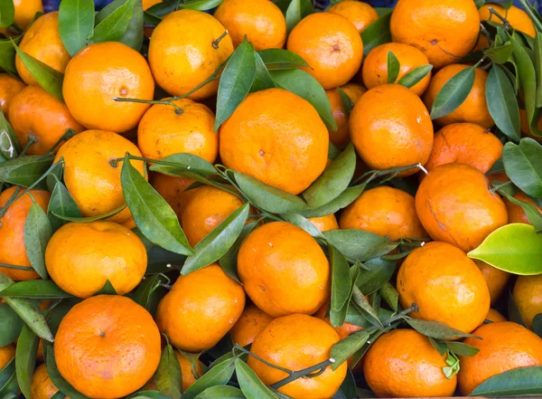 Φρέσκο πορτοκάλι — Φωτογραφία Αρχείου