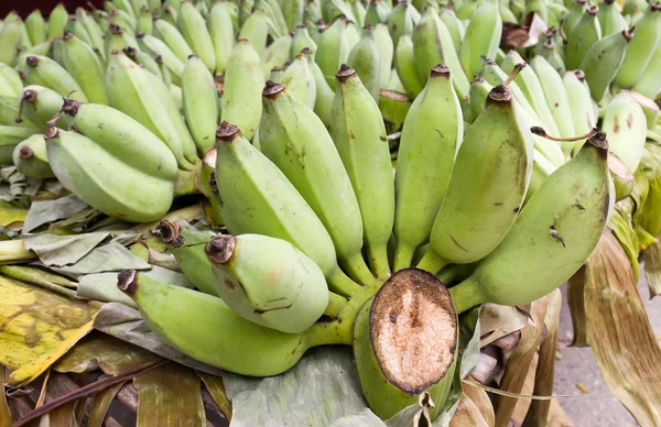 Högen av bananer — Stockfoto