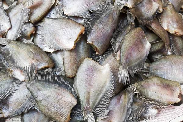 Salid Fisch zum Verkauf — Stockfoto