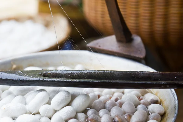 stock image Silk Production Process