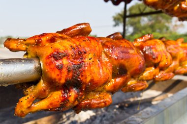 Chicken roasted on the spit clipart