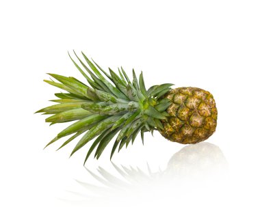 taze ananas