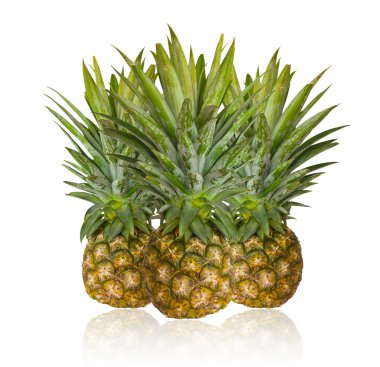 taze ananas