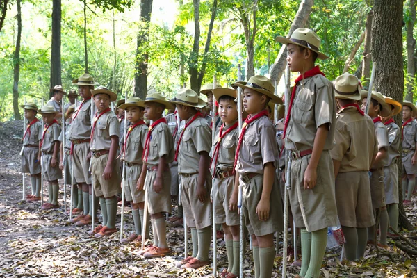 Boy Scouts camp — Stockfoto