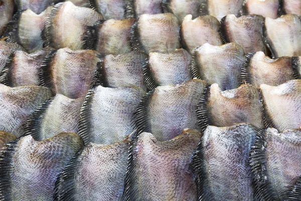Satılık salid balık — Stok fotoğraf