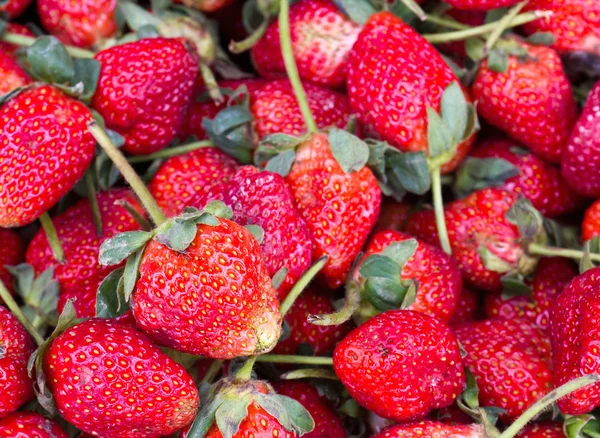 stock image Strawberries