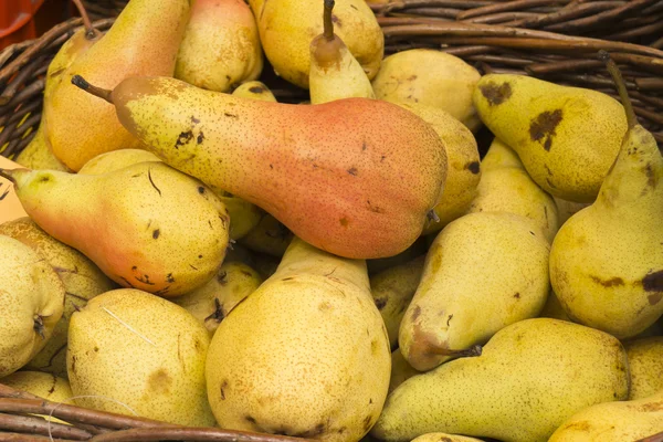 stock image Basket of organic pears