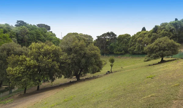 stock image The park of Villa Duchess of Galliera in Genoa