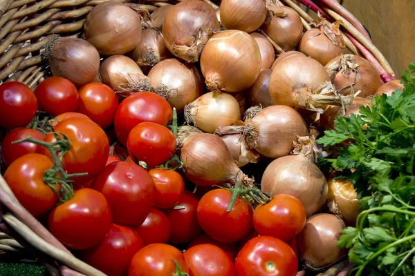 Tomaten, Zwiebeln und Basilikum — Stockfoto