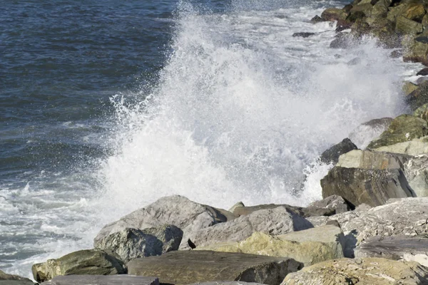 利古里亚海岸上的浪花 — 图库照片