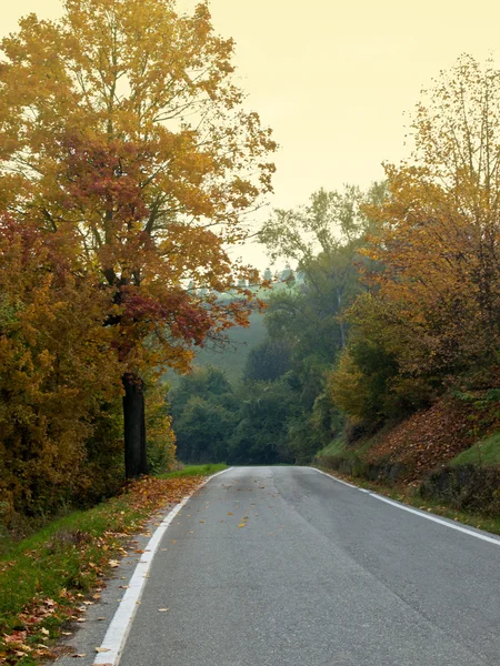 stock image Road in Autumn woods