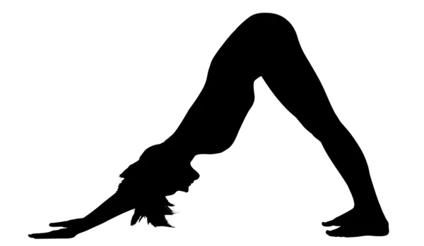 Kvinna står i yogaställning - adho mukha svanasana — Stock vektor