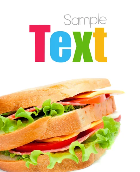 Tasty juicy sandwich — Stock Photo, Image