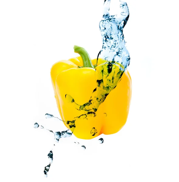 Peper met water splash — Stockfoto