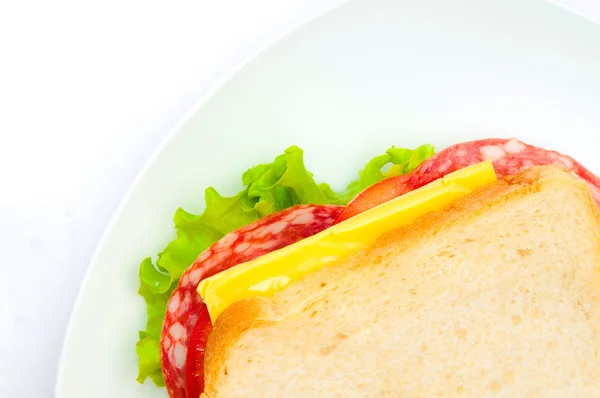 Вкусный сочный сэндвич — стоковое фото
