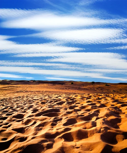 Αμμώδους ερήμου — Φωτογραφία Αρχείου