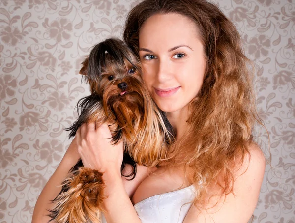Küçük şirin york terrier köpek ile kadın — Stok fotoğraf