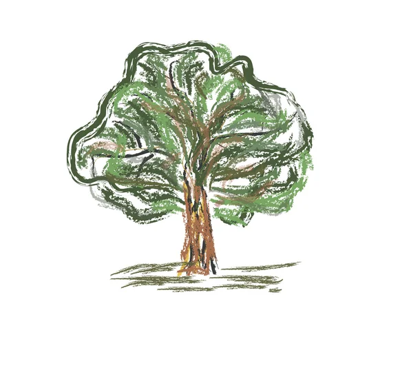 Kleurrijke oude boom. schets van de snelle potlood hand tekening illustratie in grappige d — Stockvector